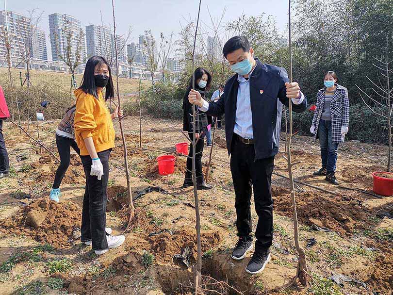 組織參加義務(wù)植樹活動(dòng)